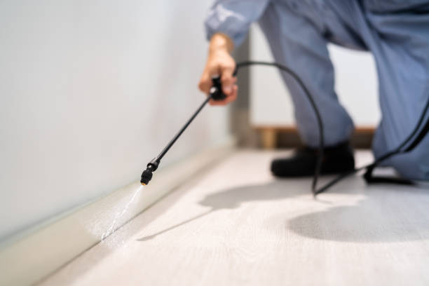 Licensed Termite Control service in Vallejo, CA - Nex Pest Control