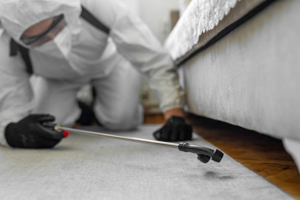 Professional Termite Control technician working in Vallejo, CA