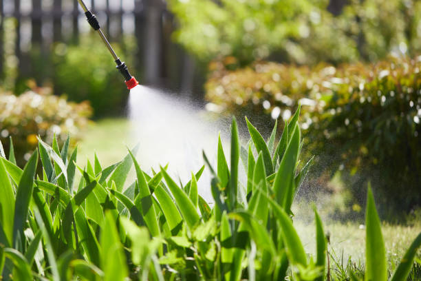 24/7 Emergency Termite Control experts in Vallejo, CA