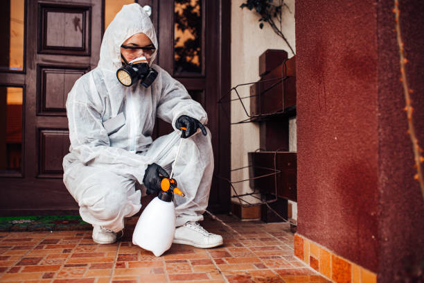Reliable Termite Control contractor in Vallejo, CA by Nex Pest Control